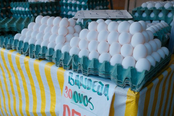 Wat zijn de nieuwste keukentrends voor 2024?